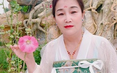 雕花的马鞍伴奏